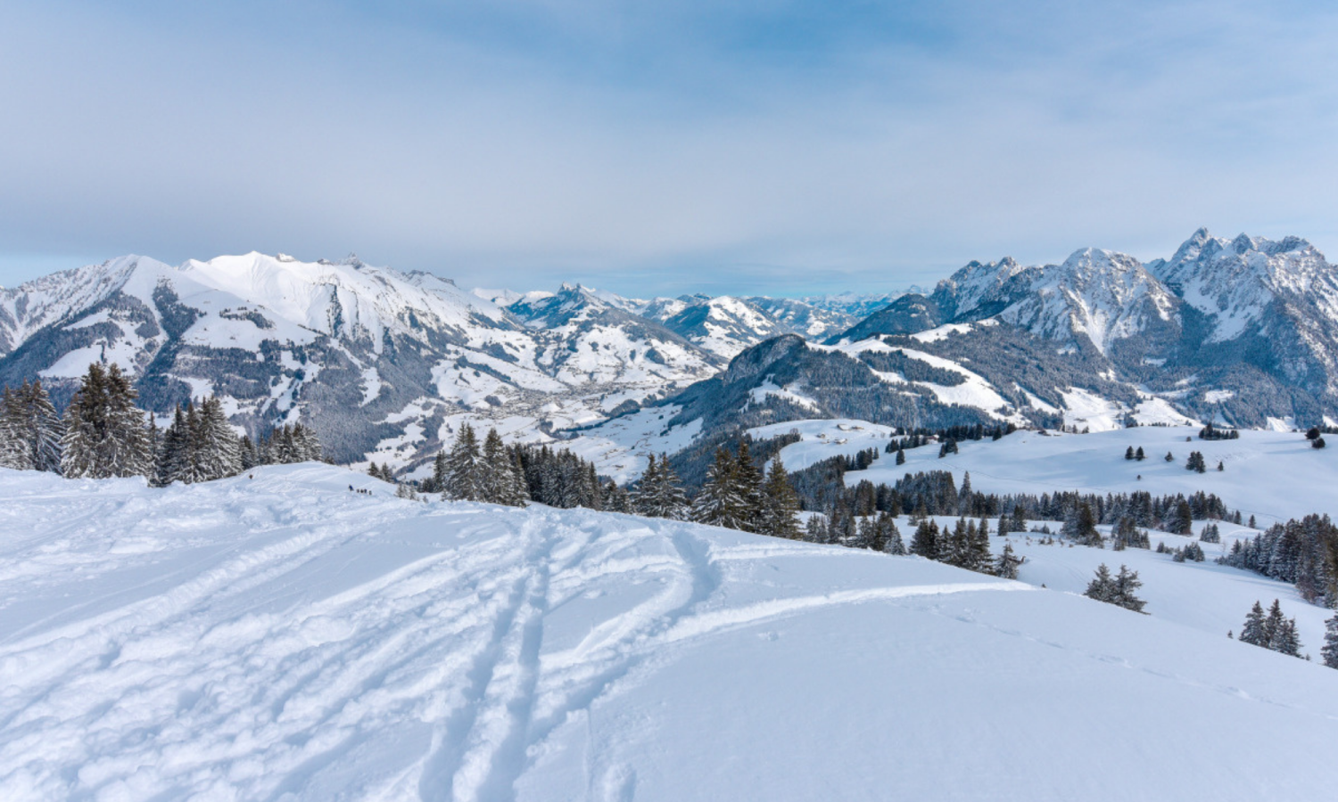 La faune en hiver